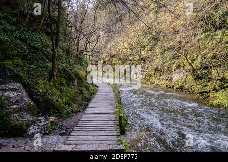 A walk in the beautiful Dovedale Valley the picture shows the boardwalk alongside the river and the steep valley walls Stock Photo