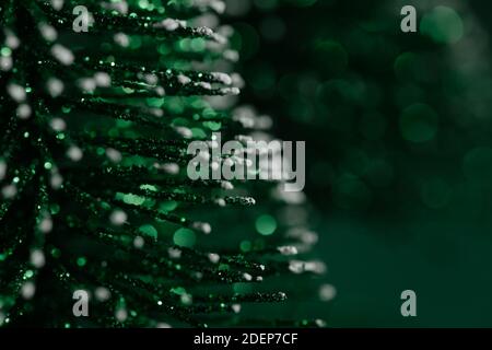 Christmas pine tree abstract concept background with a snow Stock Photo