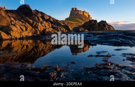 Lindisfarne Castle built by King Henry VIII to guard the Fleet anchorage in the Harbour of Holy Island. The Castle is built on a volcanic outcrop Stock Photo