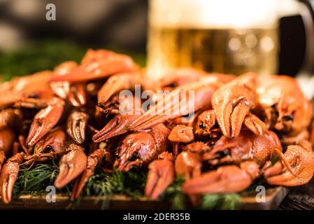 Boiled crayfish with dill and cool beer on wooden background. Selective focus Stock Photo