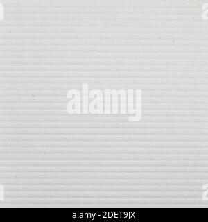 Paper texture background white color for decor stripes  Stock Photo