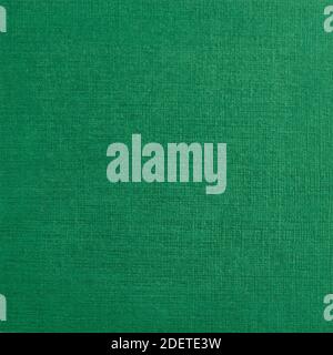 Paper texture background green color for decor  Stock Photo