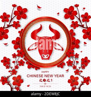 Happy Chinese New Year 2021 on oriental style white pattern background with red flowers and Chinese text means ox Stock Vector