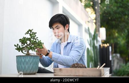 Shot of a young man in casual clothes is trimming bonsai on wooden table at home.Hobby lifestyle concept. Stock Photo