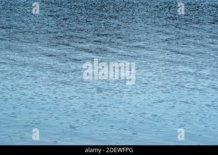 Clear blue water surface with gentle wave patterns Stock Photo
