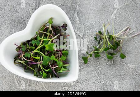 Red radish microgreens on a concrete table, healthy concept Stock Photo