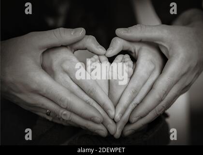 black and white image of newborn baby, father and mother hold baby's feet form a heart shape Stock Photo