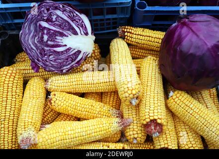 Purple cabbage with yellow corn cobs Stock Photo