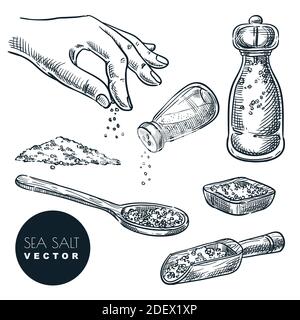 Sea salt sketch vector illustration isolated on white background. Natural ingredient, seasoning spice. Hand drawn design elements. Stock Vector