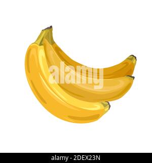 A bunch of fresh bananas. Isolated vector illustration on white background.  Cartoon flat style Stock Vector Image & Art - Alamy