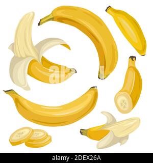 Set of various cartoon bananas. Whole, ripe, banana slices. A tropical juicy treat. Vector flat object for menus, recipes, postcards and your creativi Stock Vector