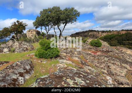 geography / travel, Spain, Typical landscape in Sierra de Andujar National Par, Additional-Rights-Clearance-Info-Not-Available Stock Photo