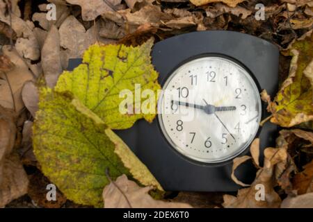 Vintage table clock among fallen autumn leaves Stock Photo - Alamy