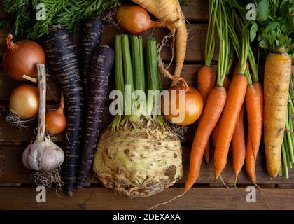 Assortment of colorful root vegetables fresh from the farmer's market including Onions, Garlic, Orange, yellow & Purple Carrots & Celery on wood. Stock Photo