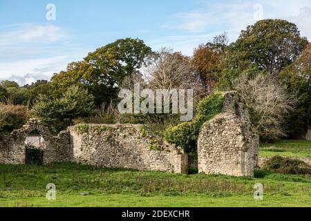 Ruins of the old Quarr Abbey, Ryde, Isle of Wight Stock Photo
