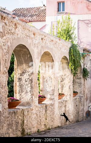 A black cat leaps up onto a villa wall with arches in the town of Ravello Campania Italy. Stock Photo