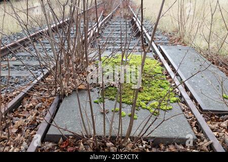 Barth, Germany. 02nd Dec, 2020. Old tracks of the former Darß railway in front of the station building are partly overgrown and weathered. A planning office for the reconstruction of the Darßbahn and a travel agency were ceremonially opened in the station building on 02.12.2020. Credit: Bernd Wüstneck/dpa-Zentralbild/dpa/Alamy Live News Stock Photo