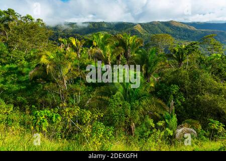 Boruca (also known as the Brunca or the Brunka) indigenous people, Costa Rica, Central America, America Stock Photo