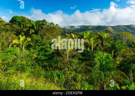 Boruca (also known as the Brunca or the Brunka) indigenous people, Costa Rica, Central America, America Stock Photo