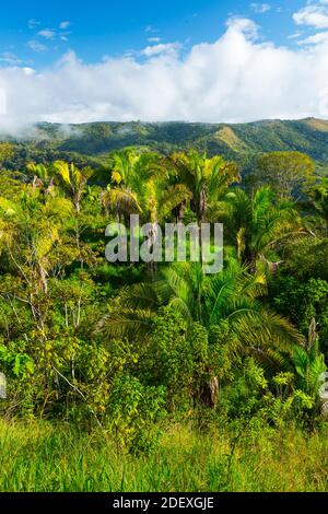 Boruca (also known as the Brunca or the Brunka) indigenous people, Costa Rica, Central America, America Stock Photo