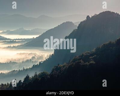 Dark green mountain forest landscape. Foggy mountain forest in valley. Fantastic misty landscape in autumn morning. Mountain forest in clouds landscap Stock Photo