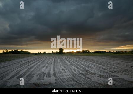 Dark storm clouds over the sown field, summer view Stock Photo