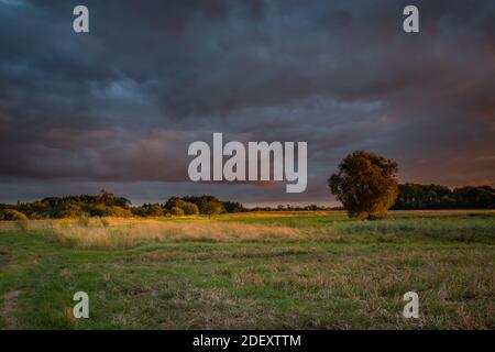 Dark storm clouds over the meadow and trees, summer evening view Stock Photo