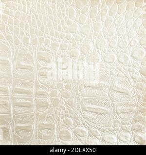 Premium ivory crocodile leather texture background for decor Stock Photo