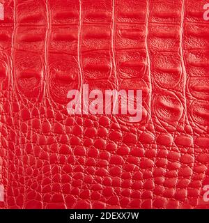 Premium red crocodile leather texture background for decor Stock Photo
