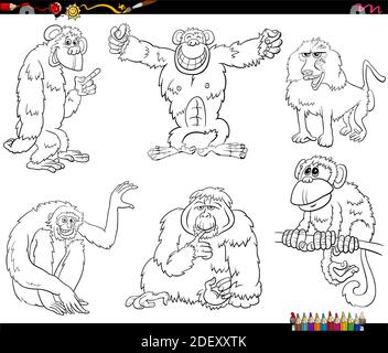 Cartoon Illustration of Funny Monkeys and Apes Animal Characters Group ...