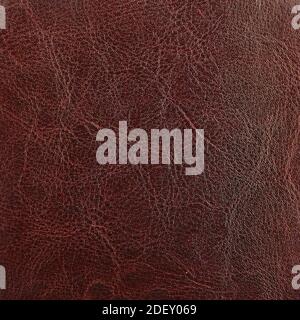 Premium brown leather texture background for decor Stock Photo