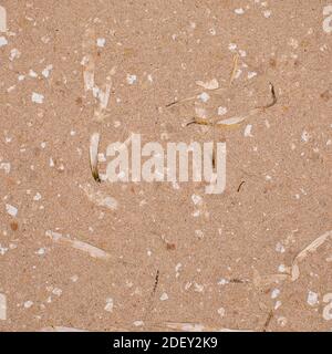 seamless pattern of a sheet of handmade paper, beige with white spots and petals of a dahlia Stock Photo