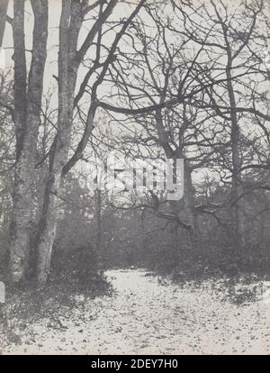 Road in the Forest of Fontainebleau Stock Photo - Alamy
