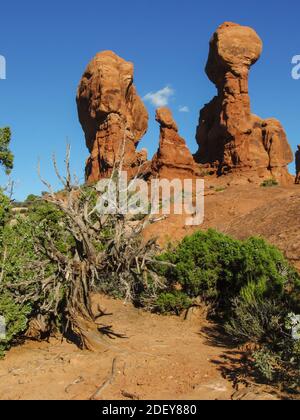 The strange rock pinnacles in the section called the Garden of Eden, in the Arches National Park, Utah, on a clear sunny day Stock Photo