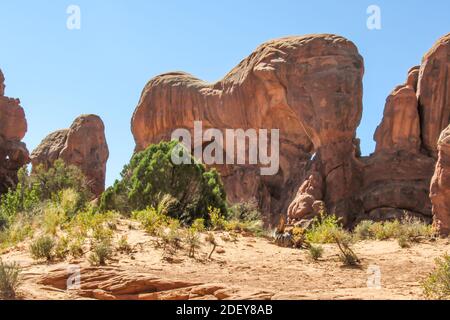 The sandstone buttes in Arches National park, Utah, known as The Herd of Elephants, due to their iconic shape, on a sunny afternoon Stock Photo