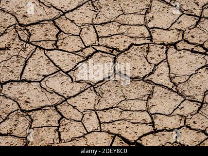 Warm light concrete background, rock pieces texture, patterned crack concrete, cracked concrete texture closeup background, focus  to the centre Stock Photo