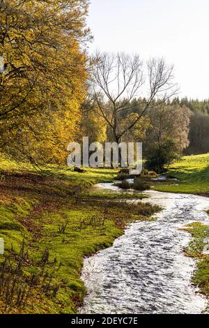 Autumn in the Cotswolds - Evening light on the Hilcot Brook at Hilcot, Gloucestershire UK Stock Photo