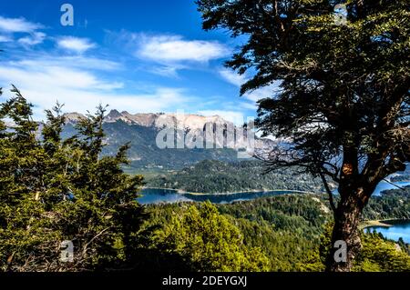 Beautiful landscape from a hill in Bariloche, Argentina on a sunny summer day. Mountains, lakes, pine trees and blue sky. Stock Photo