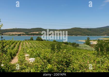 Corbara lake in the province of Perugia on a sunny day Stock Photo