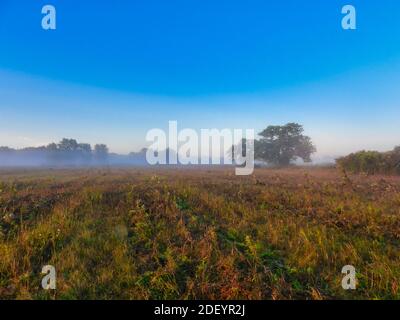 Recently Mowed Prairie at Morning Sunrise with Blue Clear Sky with a Touch of Pink with Some Mist Fog in Landscape Scenic View Stock Photo