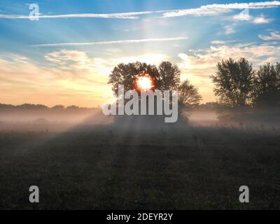 Sunrise As It Hits a Lone Tree on the Prairie with Sun Rays Breaking Through Branches and Leaves to Light Up Meadow with a Blue and Orange Sky in Back Stock Photo