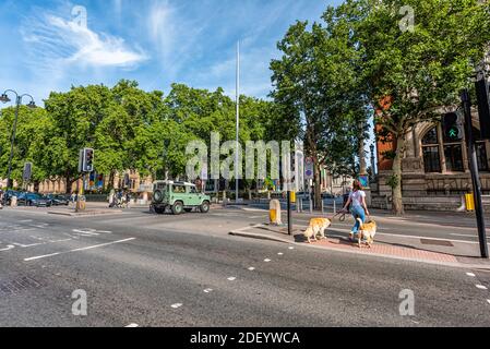 London, UK - June 24, 2018: Cromwell gardens road street with woman and two golden retriever dogs walking crossing crosswalk in Chelsea and Kensington Stock Photo