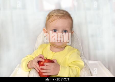 A little baby girl with a big red Apple in her hands is sitting in a high chair and looking at the camera Stock Photo