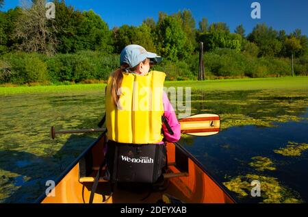 Canoeing on Second Lake, Simpson Park, Albany, Oregon Stock Photo