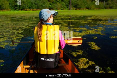 Canoeing on Second Lake, Simpson Park, Albany, Oregon Stock Photo