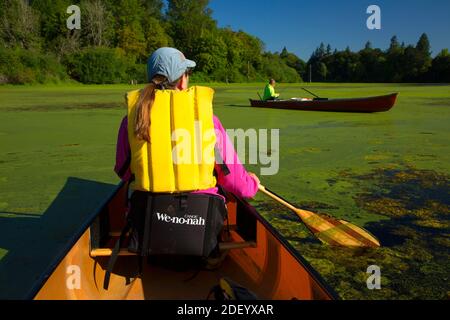 Canoeing on Second Lake, Simpson Park, Albany, Oregon Stock Photo