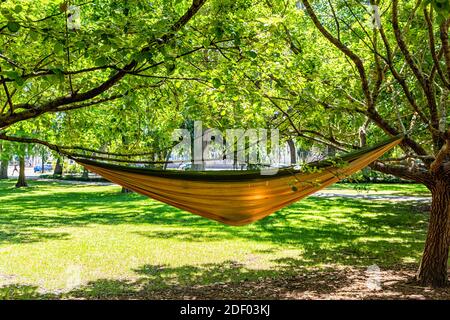 Orange yellow hammock in Savannah, USA in Forsyth park, Georgia during sunny day in summer background and green grass lawn Stock Photo