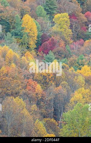 Fall foliage blankets the forests in the Shenandoah National Park and Shenandoah Valley in Virginia. Stock Photo