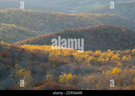 Fall foliage blankets the forests in the Shenandoah National Park and Shenandoah Valley in Virginia. Stock Photo