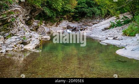 Natural green torrent flowing in  the wood.  Modena hillside, Emilia and Romagna, Italy. Stock Photo